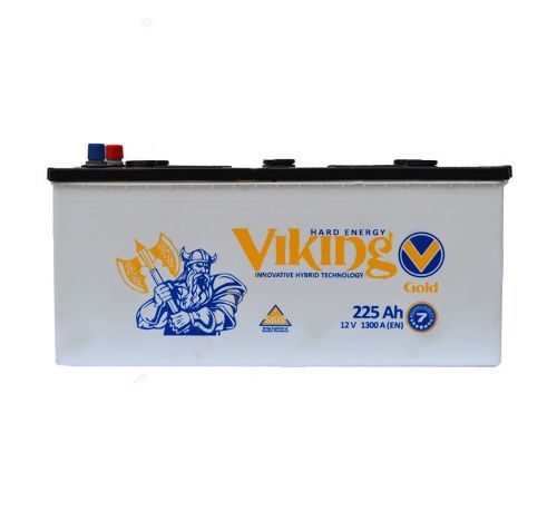 Аккумулятор VIKING Gold 6CT-225Ah (3)