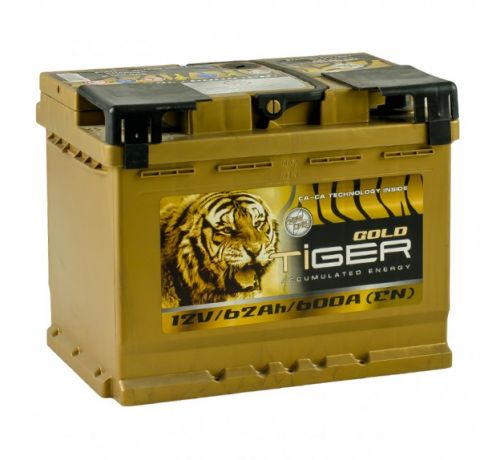 Аккумулятор Tiger Gold 62 Аh/600А 12V (1)