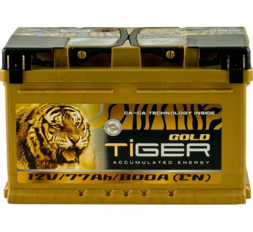 Аккумулятор Tiger Gold 77 Аh/800А 12V Euro (0)